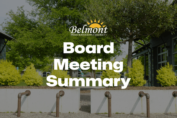 Belmont1MeetingSummary.png